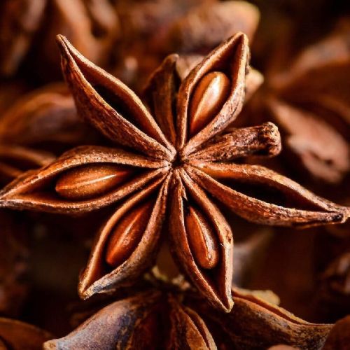 Star Anise, Shelf Life : 1Year