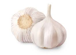 Garlic