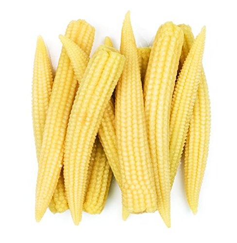 Organic Baby Corn, For Bakery, Pizza, Style : Preserved