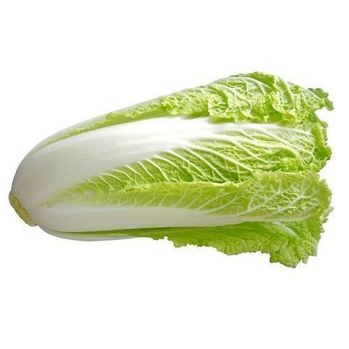 Oval Organic Fresh Chinese Cabbage, For Human Consumption, Color : Green