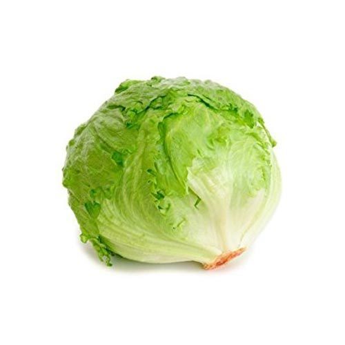 Organic Fresh Iceberg Lettuce, For Cooking, Packaging Size : 10-20kg