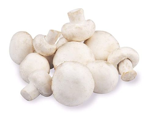 Organic Fresh Mushroom, For Cooking, Style : Natural