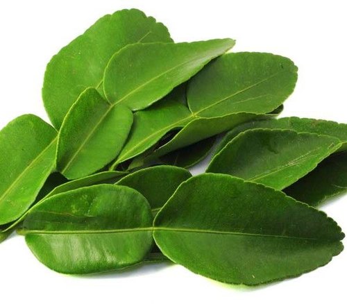 Organic Lemon Leaves, For Food Medicine, Color : Green