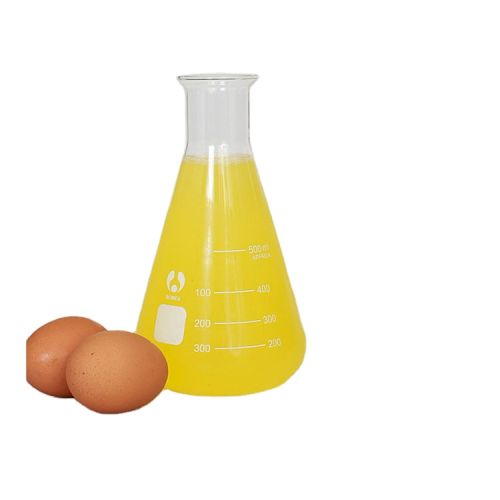 Frozen Egg Albumin Liquid