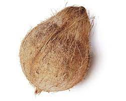 Brown Dried Coconut, Packaging Type : Dumping In Truck