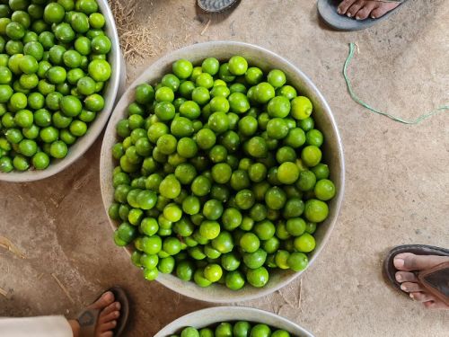 Organic Green Lemon For Pickles, Fast Food, Drinks