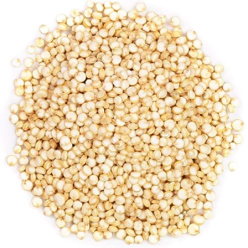 Quinoa Seeds, Style : Dried