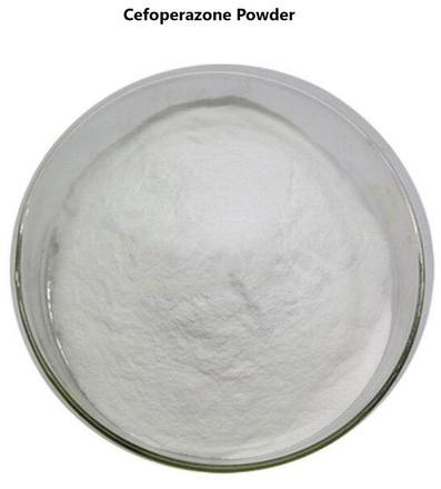 Cefoperazone, Form : Powder