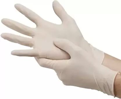 Plain Latex Surgical Gloves, Length : 10-15 Inches