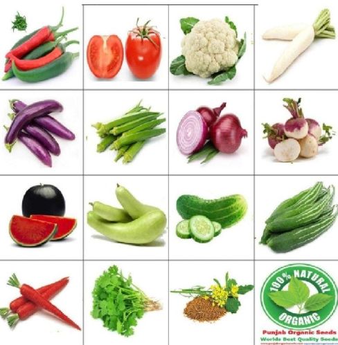 Vegetables, Packaging Size : 5Kg, 10Kg, 25Kg, 50Kg