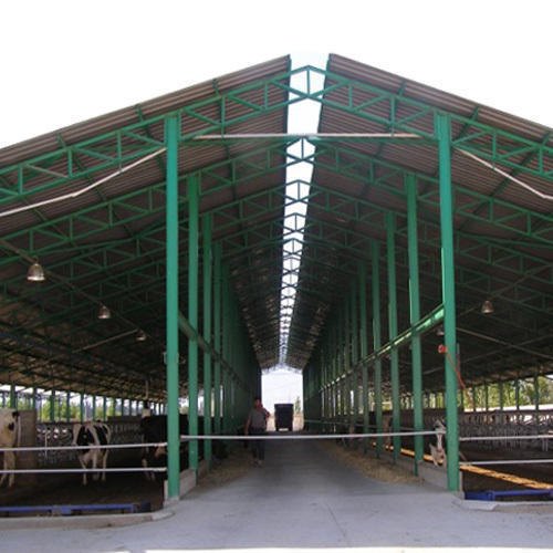 FRP Dairy Farm Shed