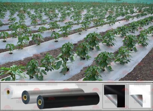 Shalimar Mulch Film, Length : 200 To 1000 Mtr