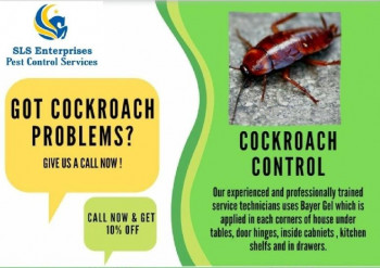 Cockroaches Pest Control Services