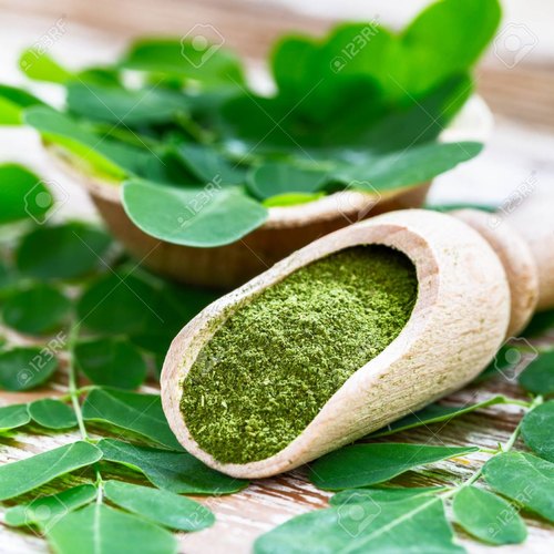 Moringa Powder, Packaging Size : 25 Kg Paper Bag