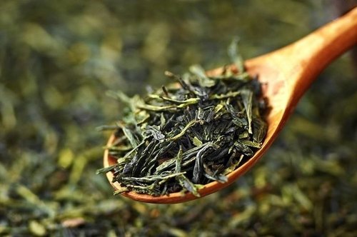 Plain Green Tea Leaves, For Medicinal