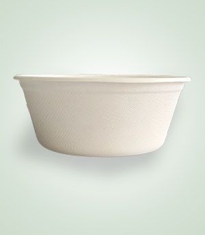 DS-BL350 Disposable Box, For Packing Food, Feature : Eco Friendly, Moisture Proof