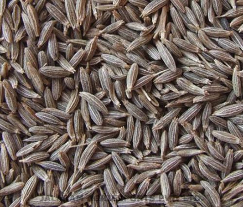 White Cumin Seeds, Color : Brown