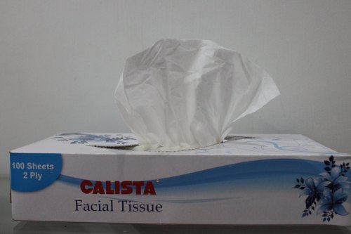 2 Ply Facial Tissue Paper, Packaging Type : Box