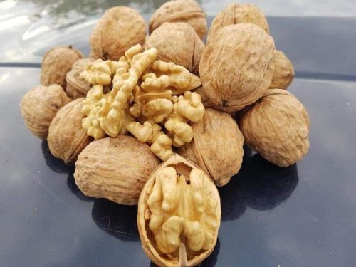 Walnut, Color : Light Yellow