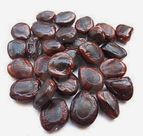 Tamarind Seeds, Color : Brown