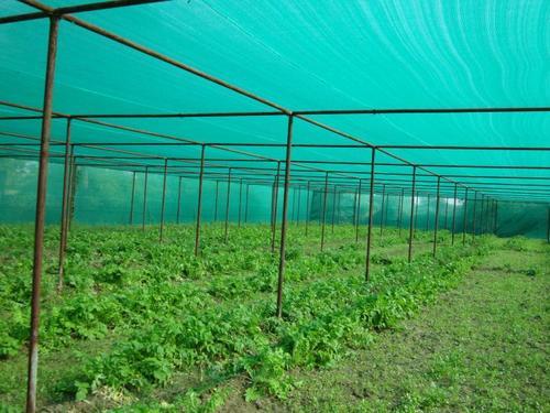 HDPE Plastic Agro Shade Net, Shape : Square