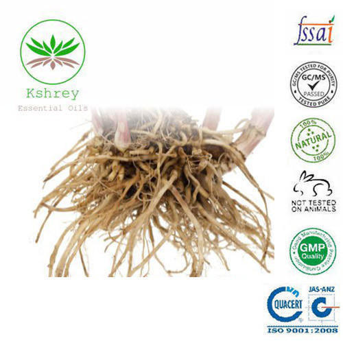 Valerian Root Oil, Form : Liquid