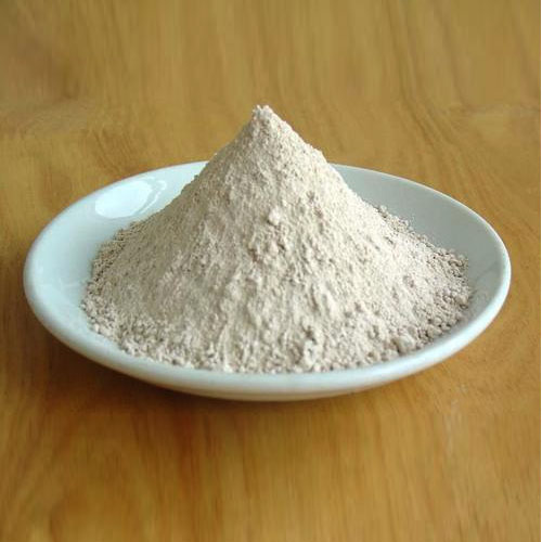 Mesalamine Powder