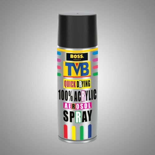 BOSS TVB Spray Paint