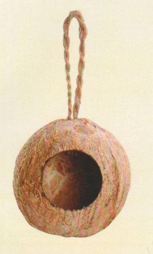 Single Hole Shell Bird Feeder, Color : Brown