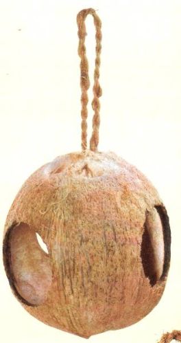 Three Hole Coconut Bird Feeder, Color : Brown