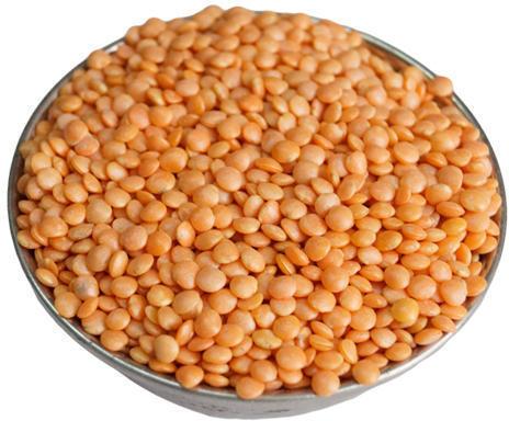 Common Malka Dal, For Cooking, Feature : Healthy To Eat