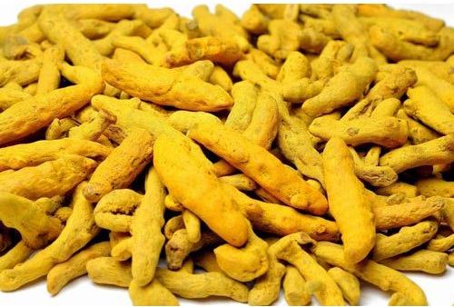 Turmeric Finger, Color : Light Yellow