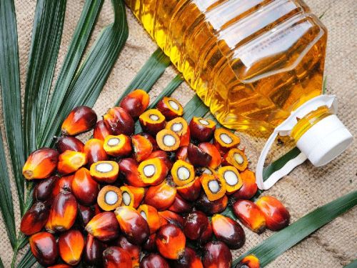 Common Palm Oil, For Cooking, Form : Liquid