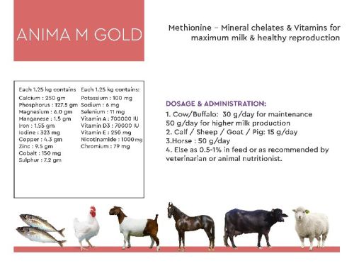 Anima A Gold Cattle Feeds Supplements