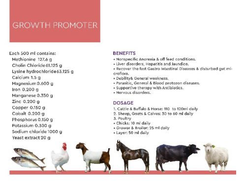 Growth Promoter Cattle Feeds Supplements, Packaging Type : Cans Bottles