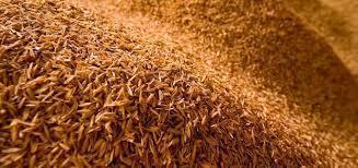 Rice Husk, Packaging Size : Bulk