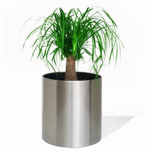 Plain Polished Stainless Steel Cylindrical Planter, Color : Silver