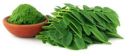 Moringa Leaf Powder, Packaging Size : 25 Kg