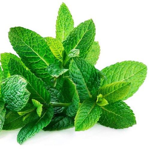 Peppermint Flavour, Packaging Size : 25 Kg