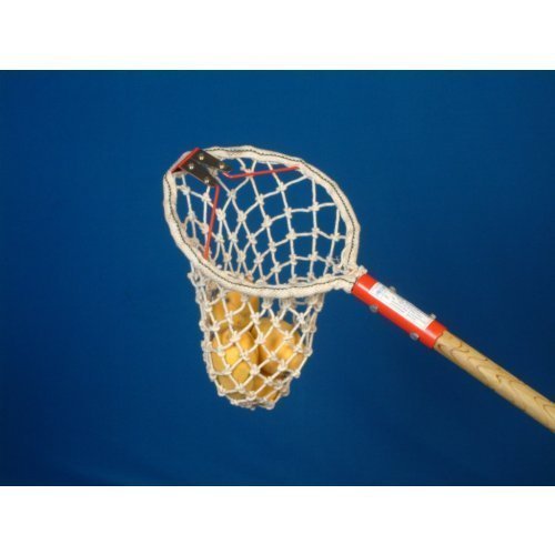 Jay Shree Mango Harvester