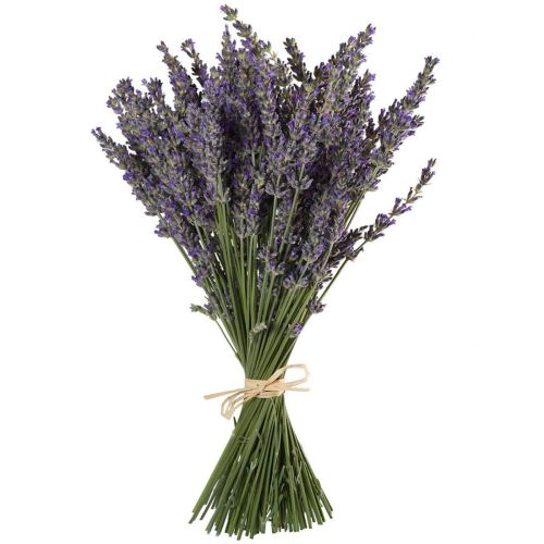 Payam Naturals Lavender Bunch, For Usage/Application, Shelf Life : 24 Months