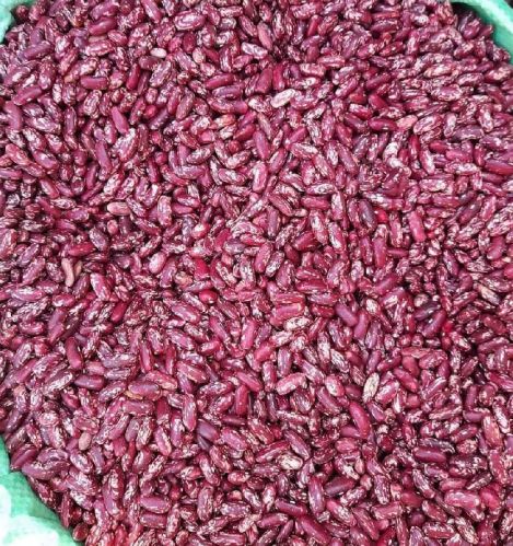 Common kidney beans, Packaging Type : Light Red, Red for Cooking