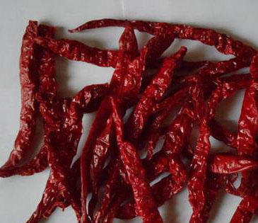 Byadgi Chili, Color : Dark Red Color