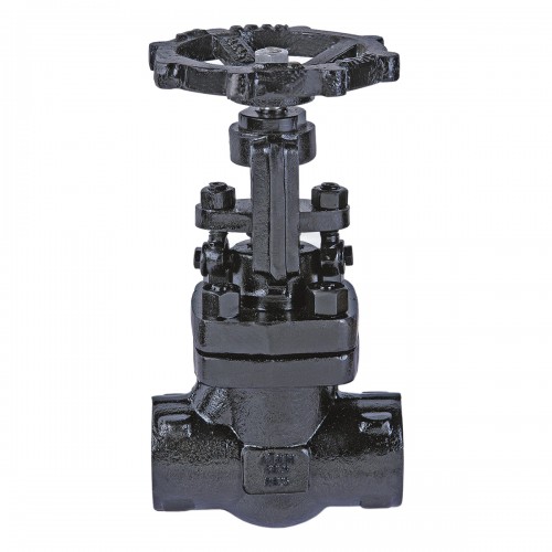 AV-304 F.C.S. (A105) Globe Valve