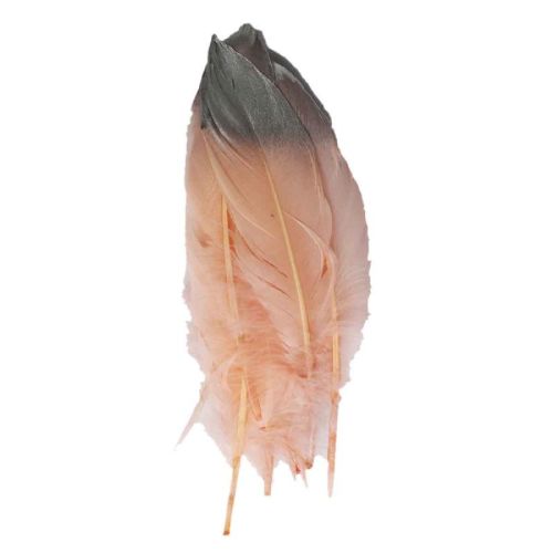 Artificial Feather, Color : Pink