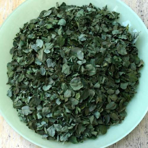 Moringa Leaves, Packaging Type : HDPE Bag