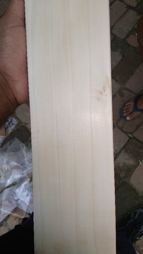 Custom Made English Willow Bat, Pattern : Plain