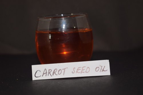Clia Carrot Seed Essential Oil, For Cosmetics, Packaging Type : Plastic Bottels