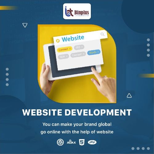 Website development