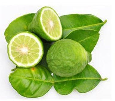 Bergamot Oil, Packaging Size : 100 Ml To 180 Kg